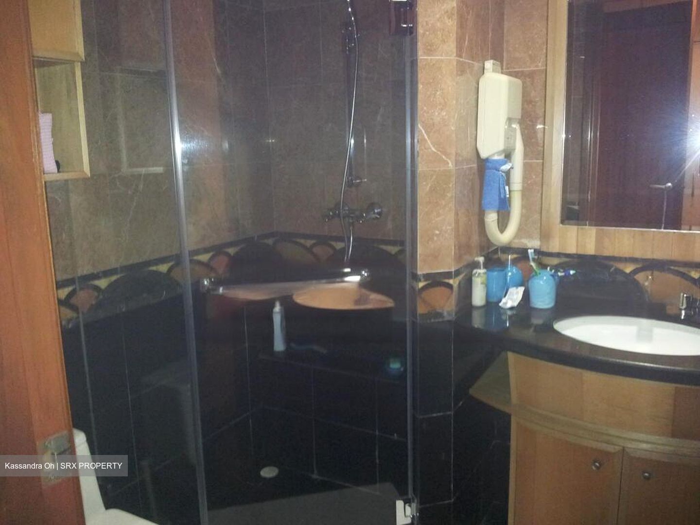 River Place (D3), Condominium #485619841
